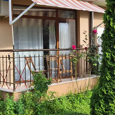 студио Forest, к-с нестинарка * Carevo