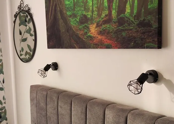 Апартамент студио Forest, к-с нестинарка