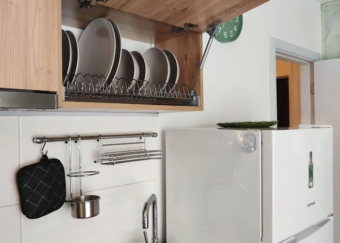 Апартамент студио Forest, к-с нестинарка *