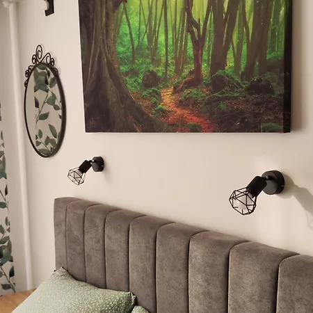 Apartmán студио Forest, к-с нестинарка