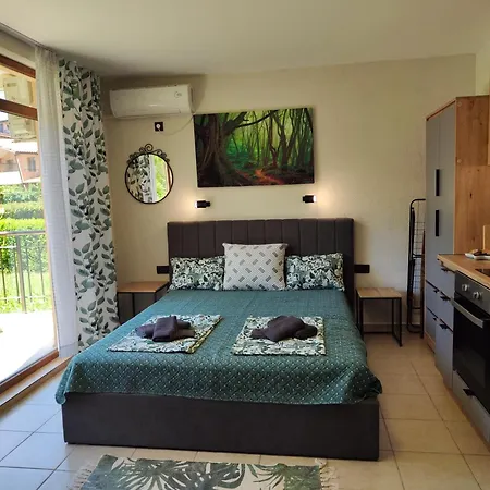 Apartmán студио Forest, к-с нестинарка *